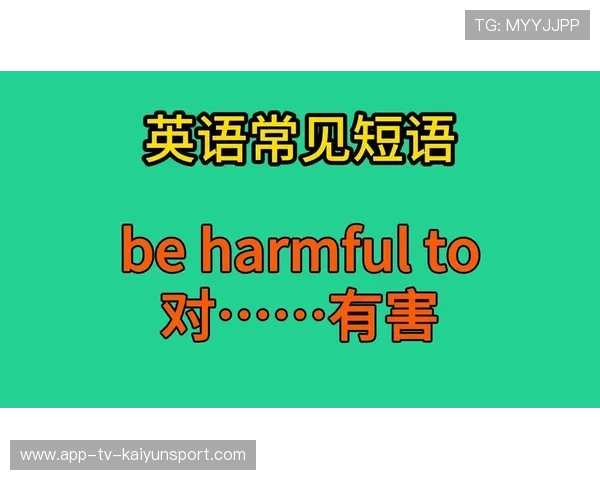 初三学生福音！九年级英语短语汇总详解，九年级英语短语总结归纳