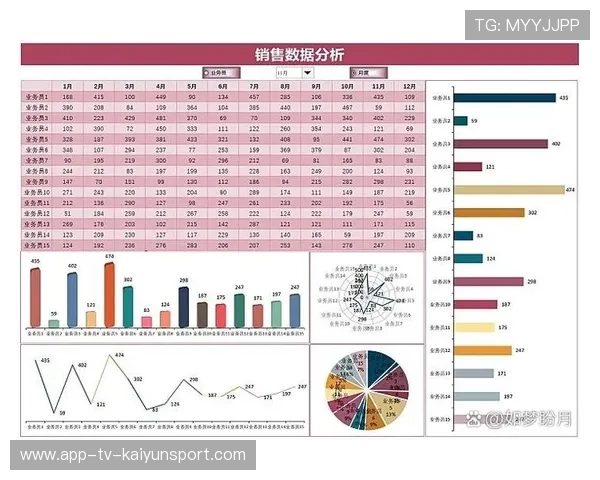 排名变化趋势分析