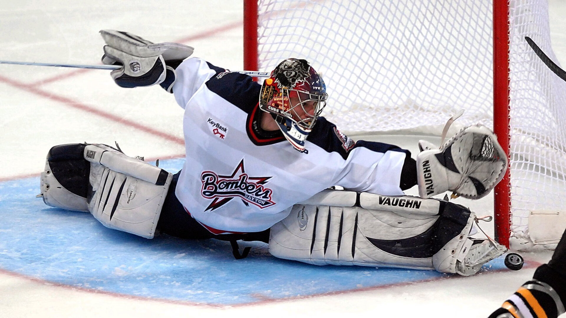 KAIYUN 中国大陆-雪橇锦标：俄罗斯队稳居金牌榜，突破纪录在望！，俄罗斯雪橇犬